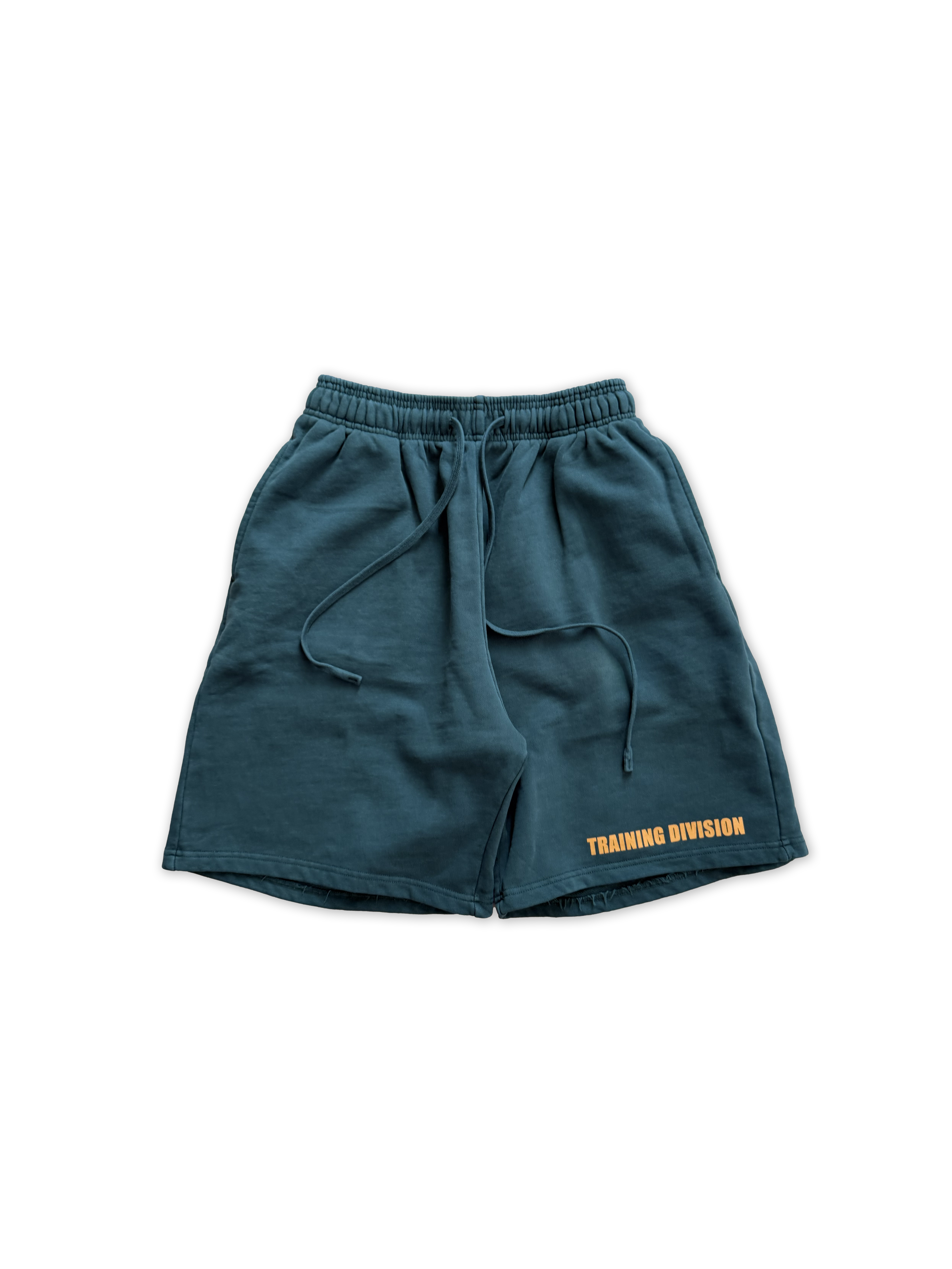 Training Division Shorts